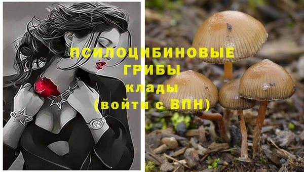 MESCALINE Абинск