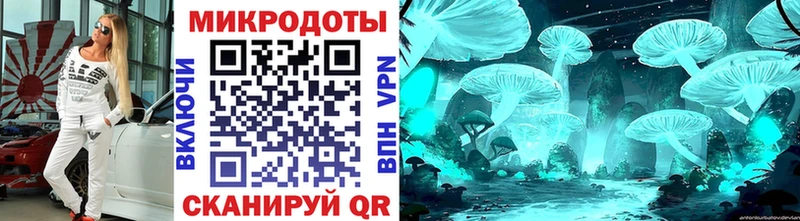 Псилоцибиновые грибы Cubensis Пошехонье